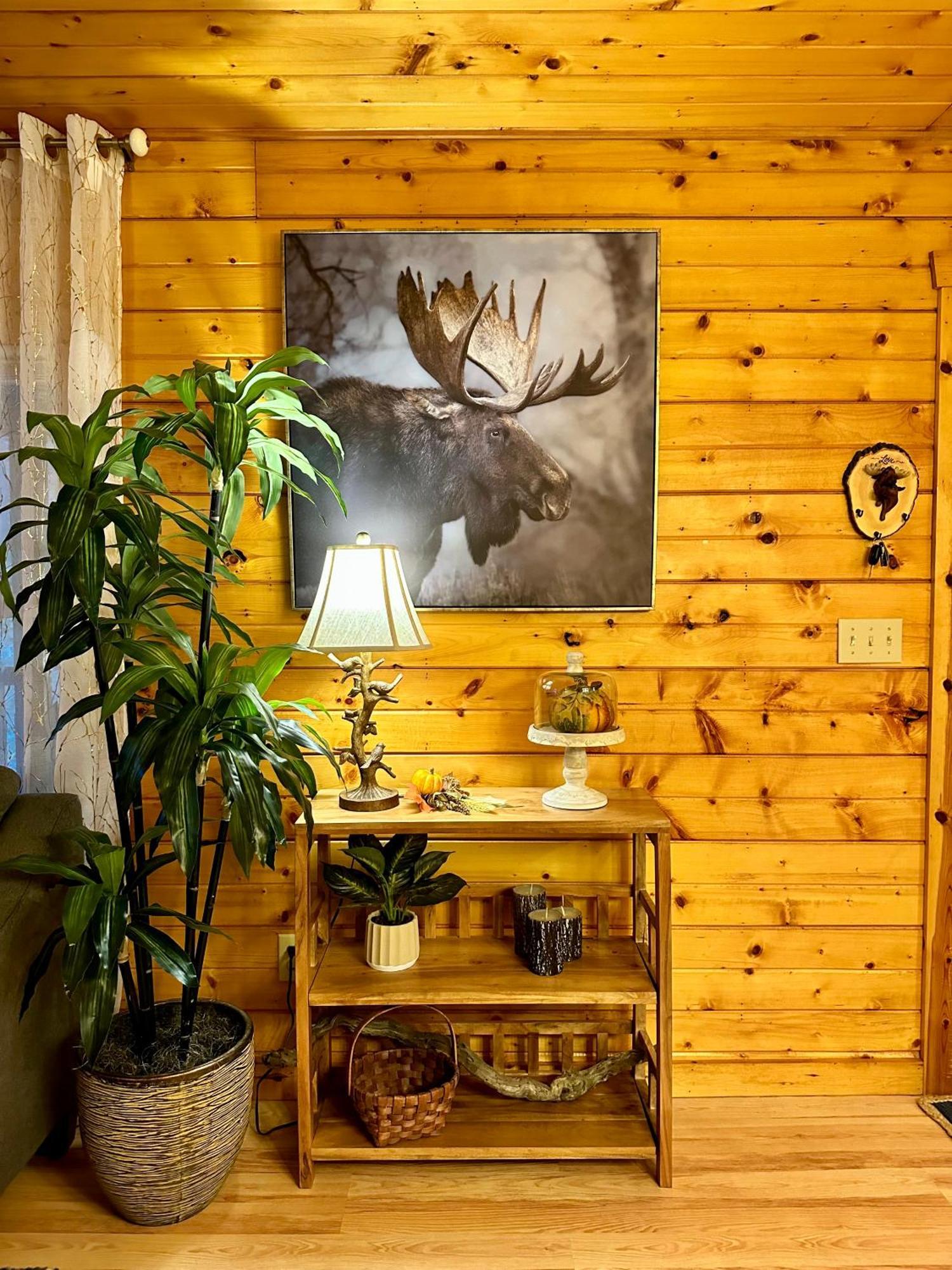 Cozy Cabin In Red River Gorge Rogers Екстер'єр фото